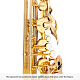 Yamaha YTS-62 - Tenor Sax : Image 6