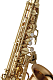 Yanagisawa AWO2U - Alto Saxophone : Image 2