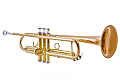 Vincent Bach TR555G - Bb Trumpet : Image 5