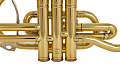 Yamaha YCR-6335H - Bb Cornet (201574) : Image 3