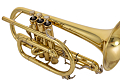 Yamaha YCR-6335H - Bb Cornet (201574) : Image 4