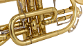 Yamaha YCR-6335H - Bb Cornet (201574) : Image 6