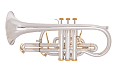 Besson Prestige 2028 - Bb Cornet (898284) : Image 2