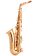 Yanagisawa AW01 - Alto Saxophone - Ex Demo : Image 2