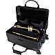 Protec PB301VAX Trumpet Combo Case on Wheels : Image 2