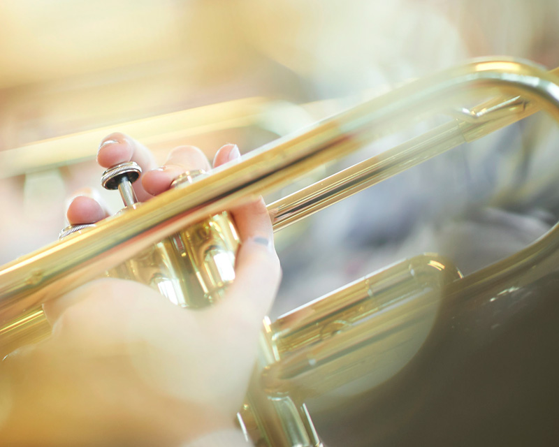 Tuba Musical Instruments Bass, Brass Instrument Accessories